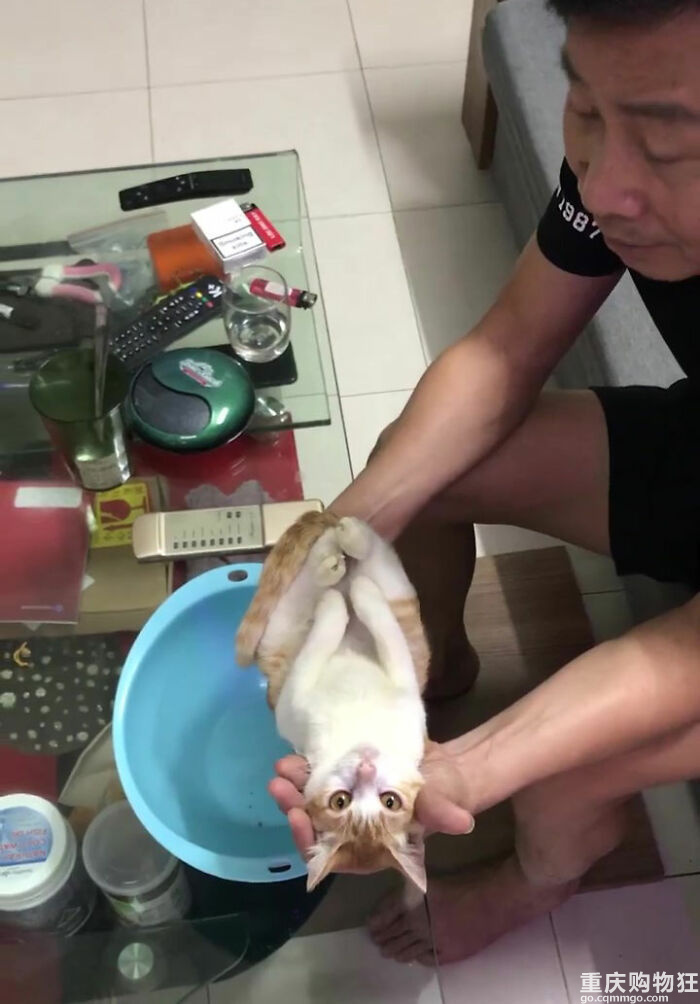 爷爷把猫当示范，教儿子如何给婴儿洗澡