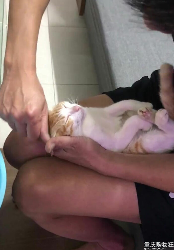 爷爷把猫当示范，教儿子如何给婴儿洗澡
