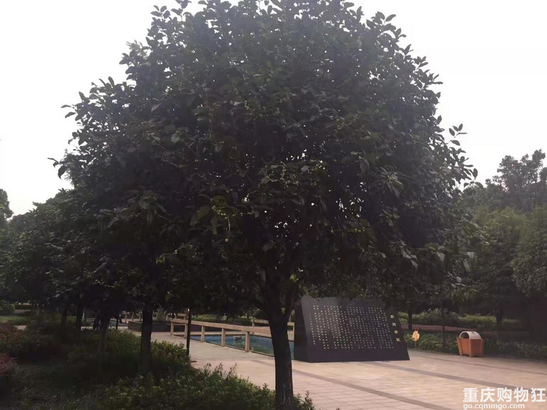 800米,十分钟,有限时空里的无限生活+【我的上班路】