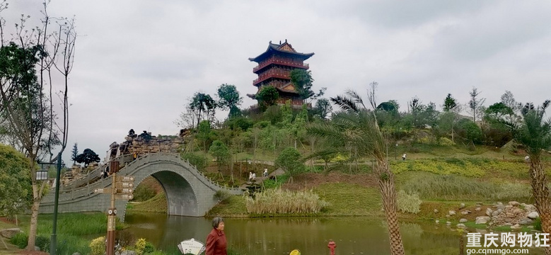 清明2天打卡大足，看花树逛公园吃丁家坡洋芋览大足石刻全攻略！