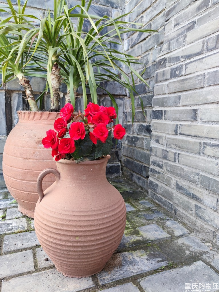 清明2天打卡大足，看花树逛公园吃丁家坡洋芋览大足石刻全攻略！