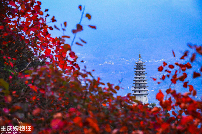 花开之时，淡淡相爱