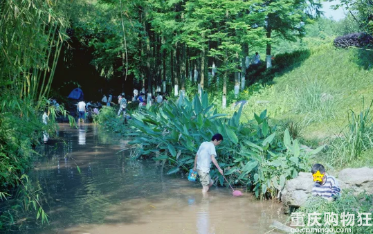 【盖楼】耍水听我的！烧烤露营、摸螃蟹、捉蝌蚪，5.1全都安排上