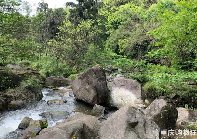 【盖楼】耍水听我的！烧烤露营、摸螃蟹、捉蝌蚪，5.1全都安排上