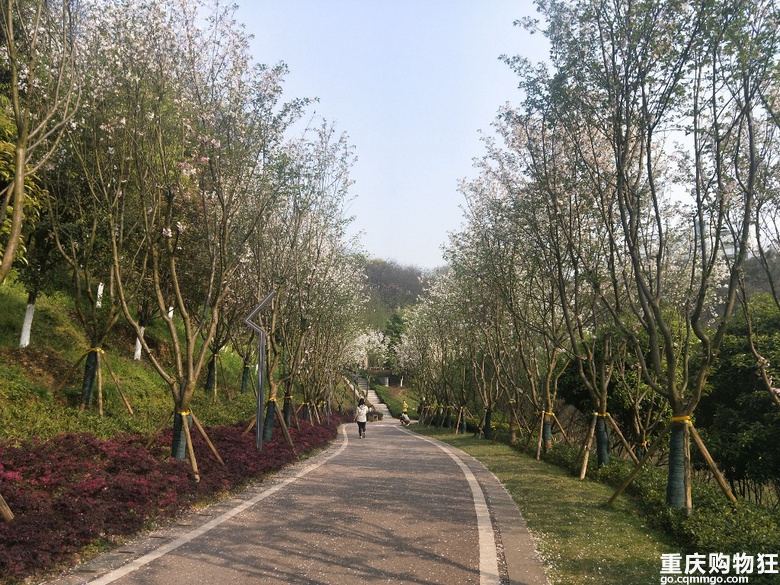 打探汽博人气轨道盘恒大轨道时代，套内67-97㎡精装小户型将加推
