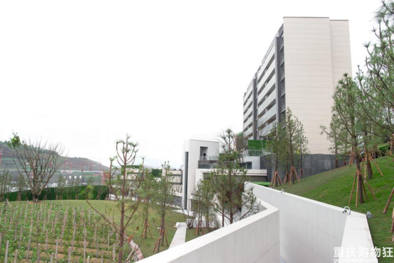 打探中央公园北热销盘万科璞园，建面约140㎡，270万起，方厅设计