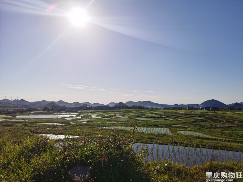 冷门景点～水田梯田夏季正当时～云顶草原