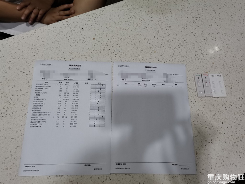 正在住院治疗寻好心人～美短加白弟弟无偿重新寻单猫家庭领养