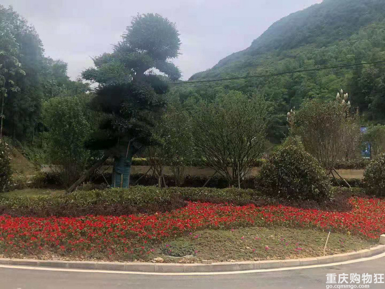 出售两套贵州泰达谷避暑房【我要卖房】