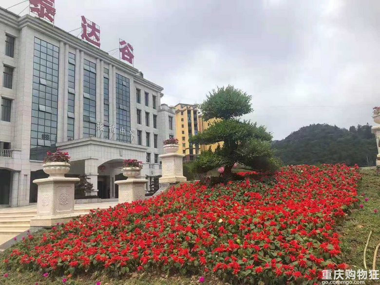出售两套贵州泰达谷避暑房【我要卖房】
