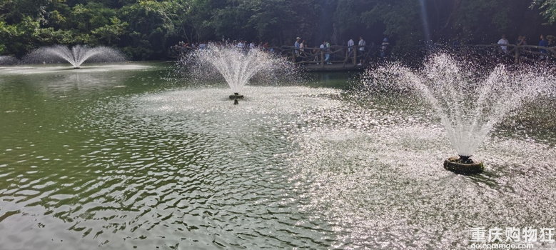 高老庄三