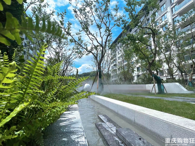 中央公园东 纯洋房社区 三轻轨环绕 三房135万起