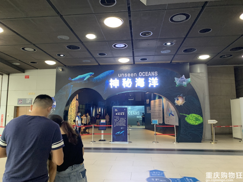 周末快走一波科技馆，免费的“神秘海洋”展太梦幻了，适合所有人