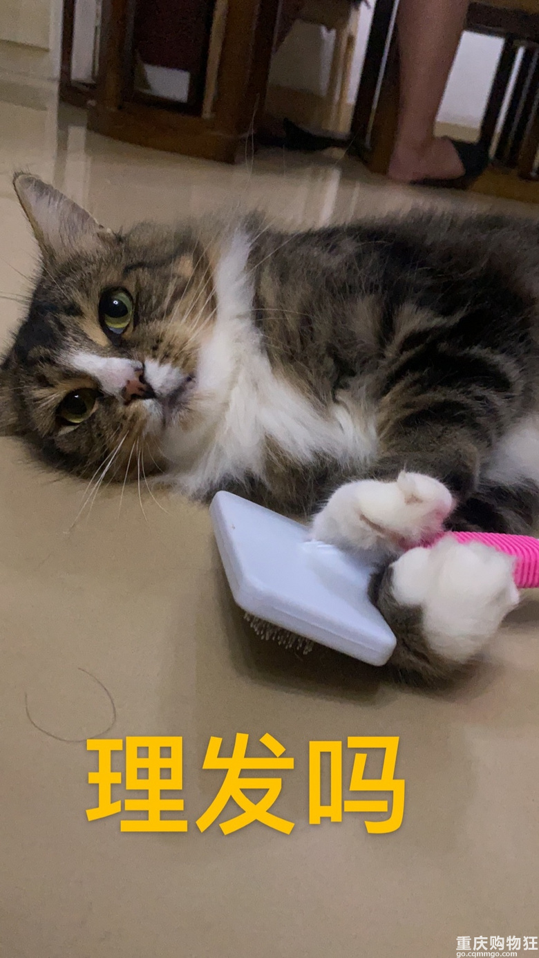 重庆哪里可以学咖啡