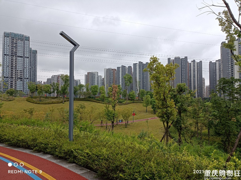 家门口的“体育公园”开放了