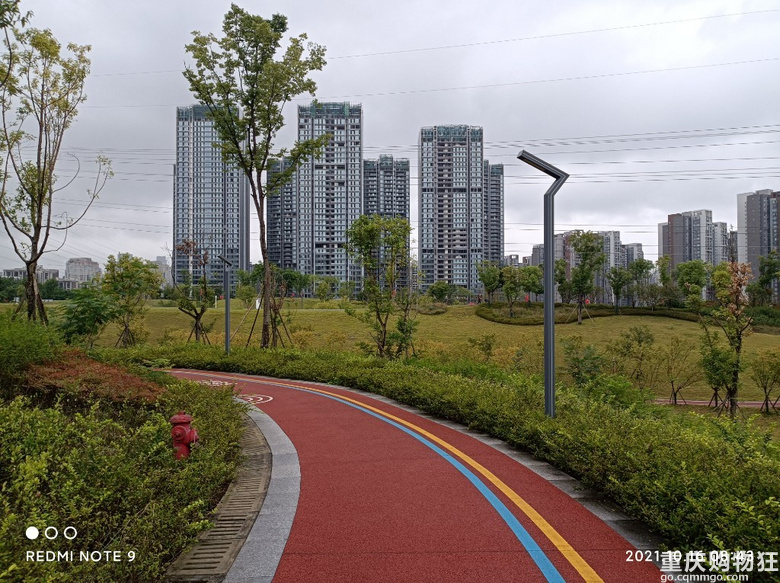 家门口的“体育公园”开放了