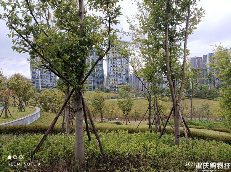 家门口的“体育公园”开放了