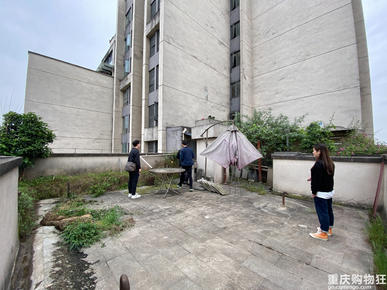 25岁完成养老愿望，钢混森林里的一方小院，侘寂禅意装修开帖