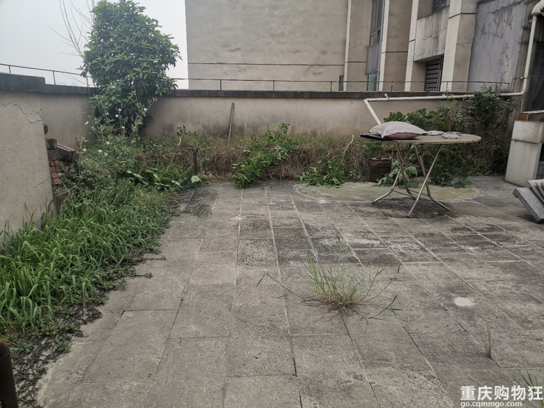 25岁完成养老愿望，钢混森林里的一方小院，侘寂禅意装修开帖