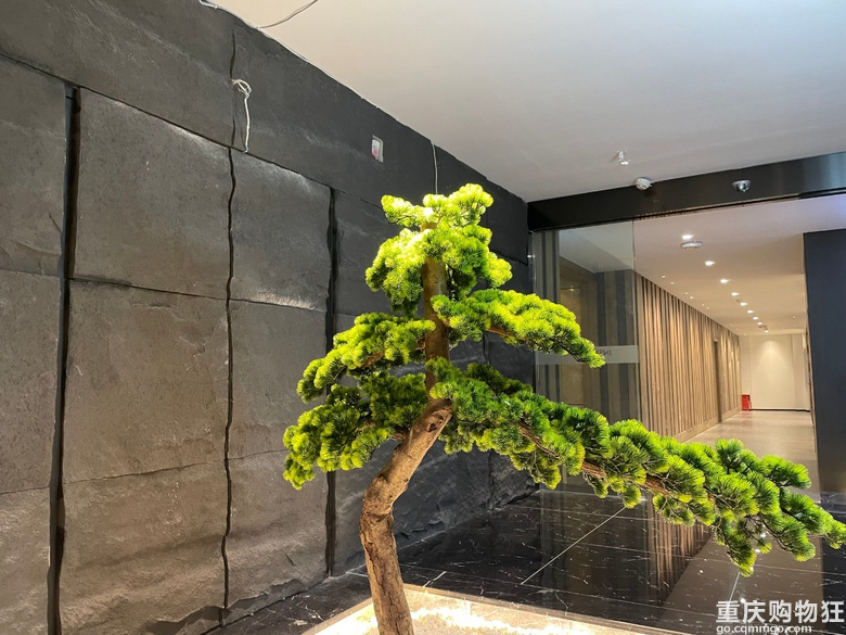 【小编探店】30年重庆老品牌主打高性价比高颜值 | 尹氏木业