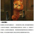 【萌物出没请避让[太开心]】推荐9部萌出血的真人动画电影_图0