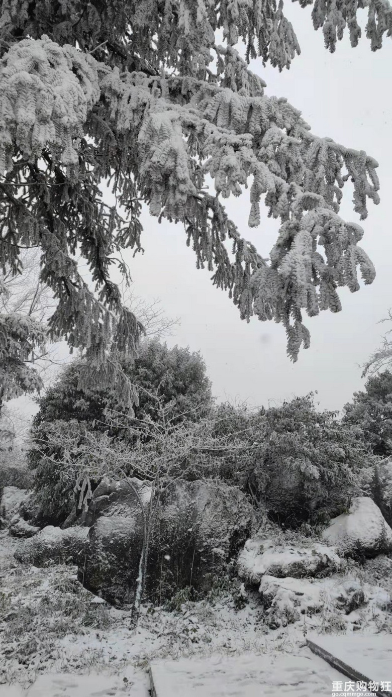 华蓥山下雪了