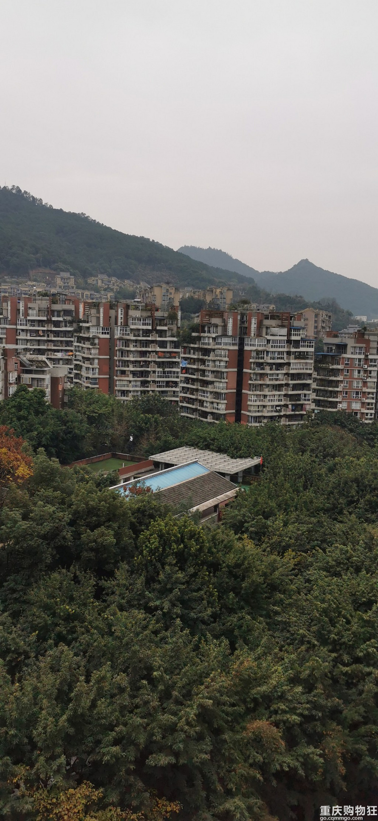 年底了，你们物业发了什么福利？