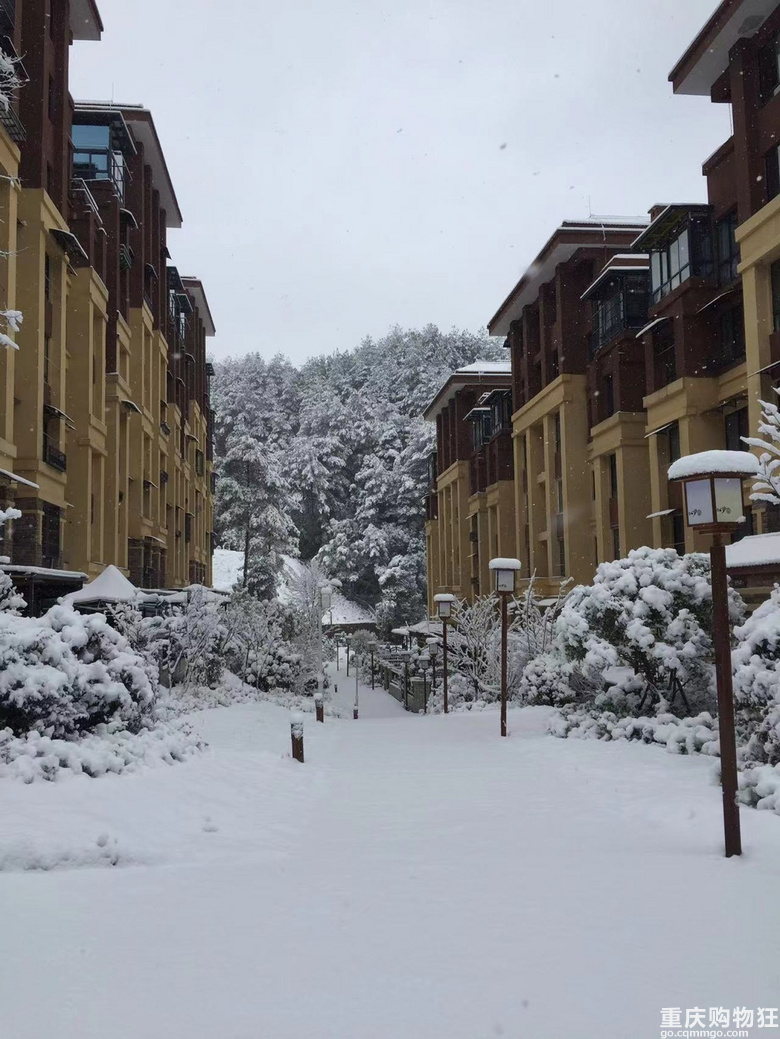 贵州桐梓避暑房也可以看雪啦！