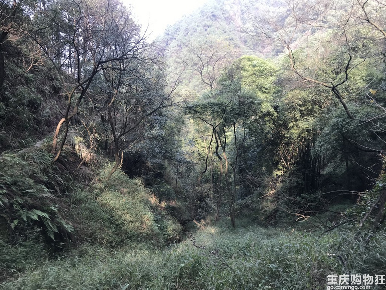 2022年第一天。和小伙伴一起徒步登山祈福