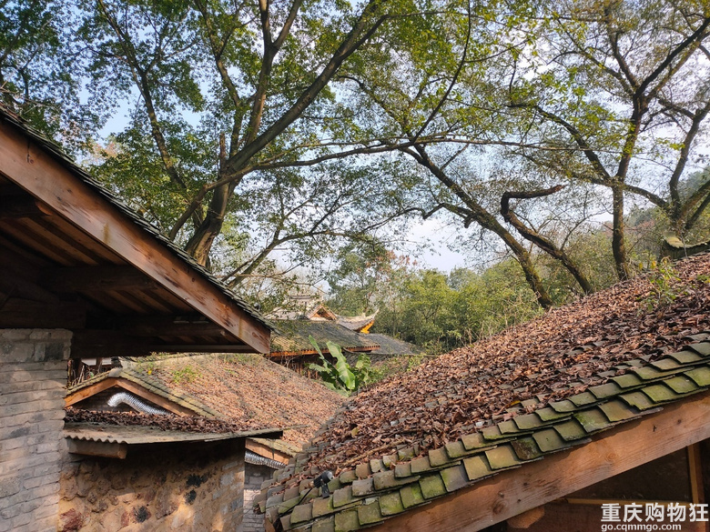 打探即将开街的金刚碑：老洋楼、古温泉、还有防空洞里的书局