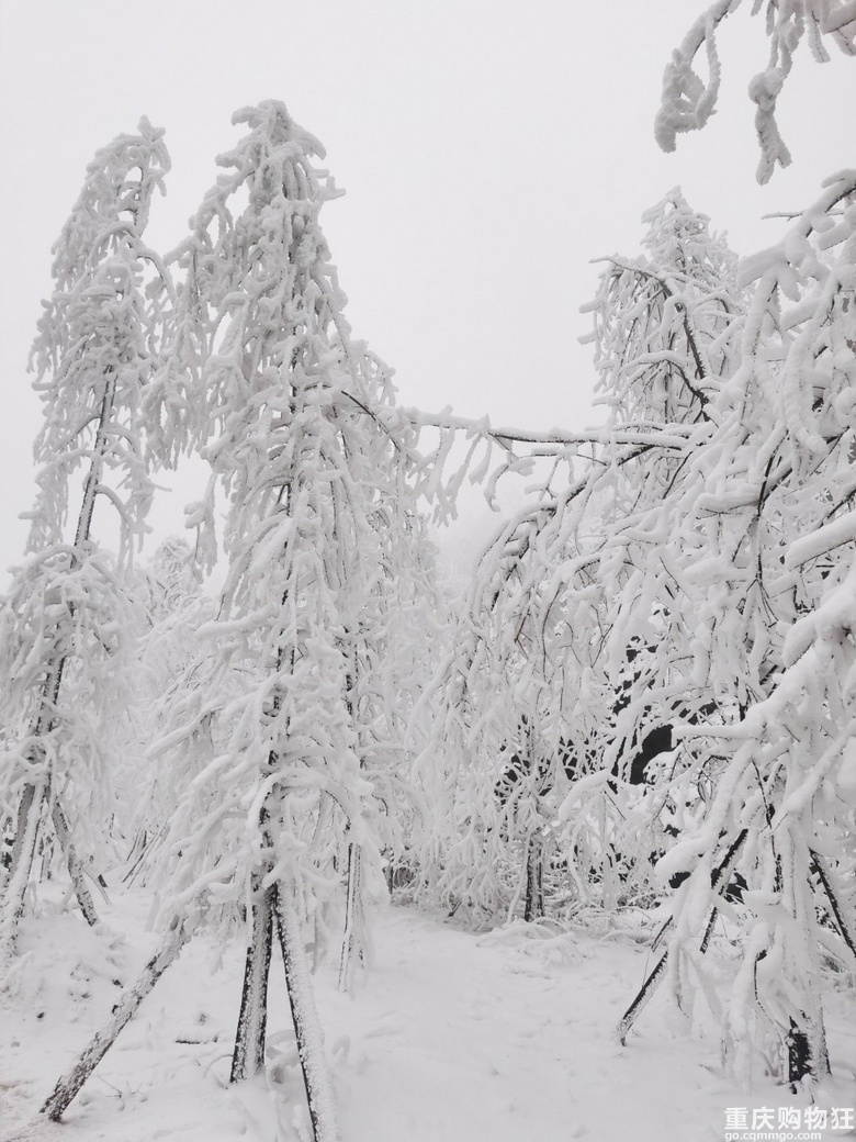 春节去南天湖滑雪一定注意啦！
