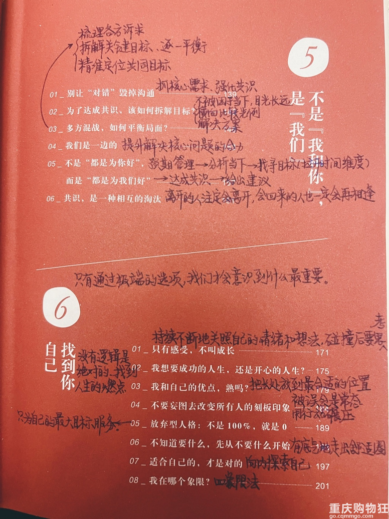把自己当回事儿--活得通透的人生能有多爽