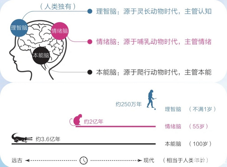 摆脱无效努力，实现认知觉醒