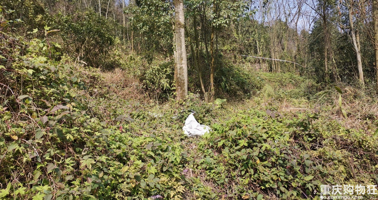 探访北碚废弃别墅群，来历众说纷纭，地下室一张纸弄清前世今生