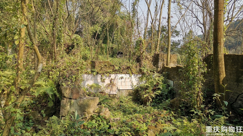 探访北碚废弃别墅群，来历众说纷纭，地下室一张纸弄清前世今生