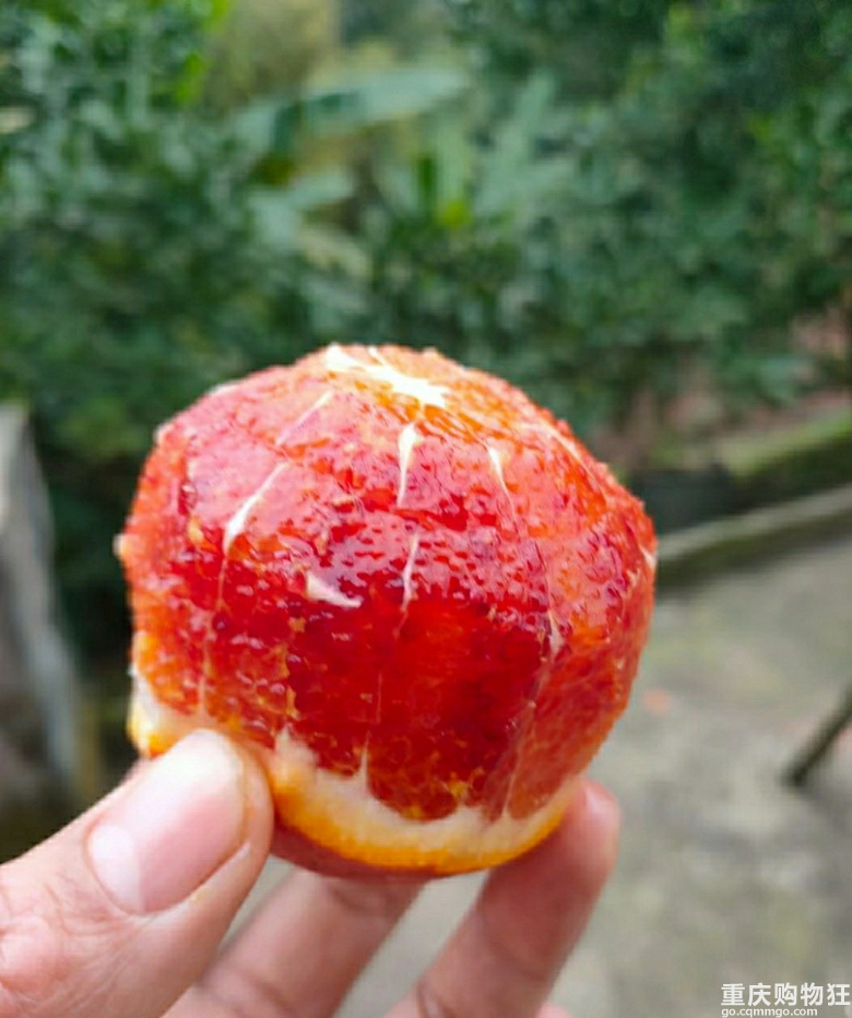 婆婆家的血脐滞销了！