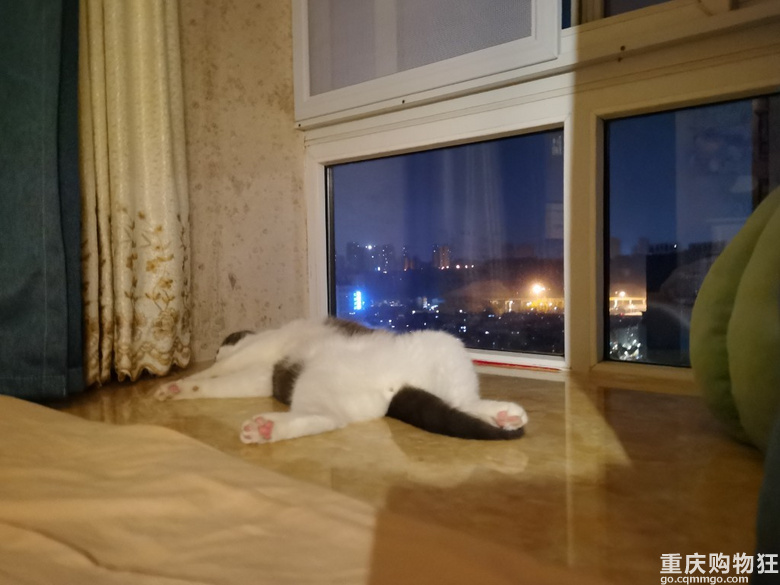 天气这么热，只想和地砖贴贴