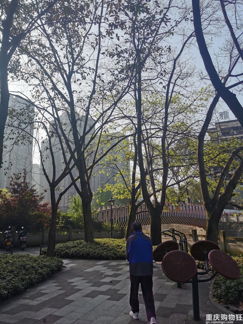 走一走跳磴河步道，看看春日的景象