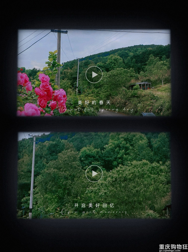 摘树莓了。