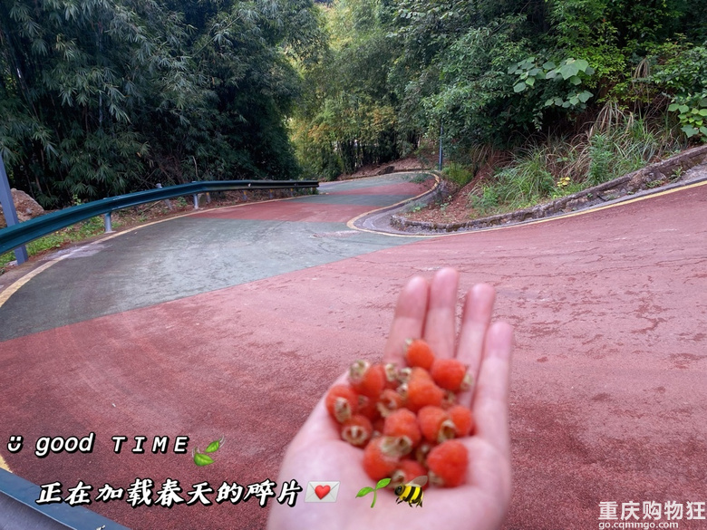 摘树莓了。