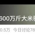 当火车拉着6000000斤大米开进上海，送米的人扎心了……