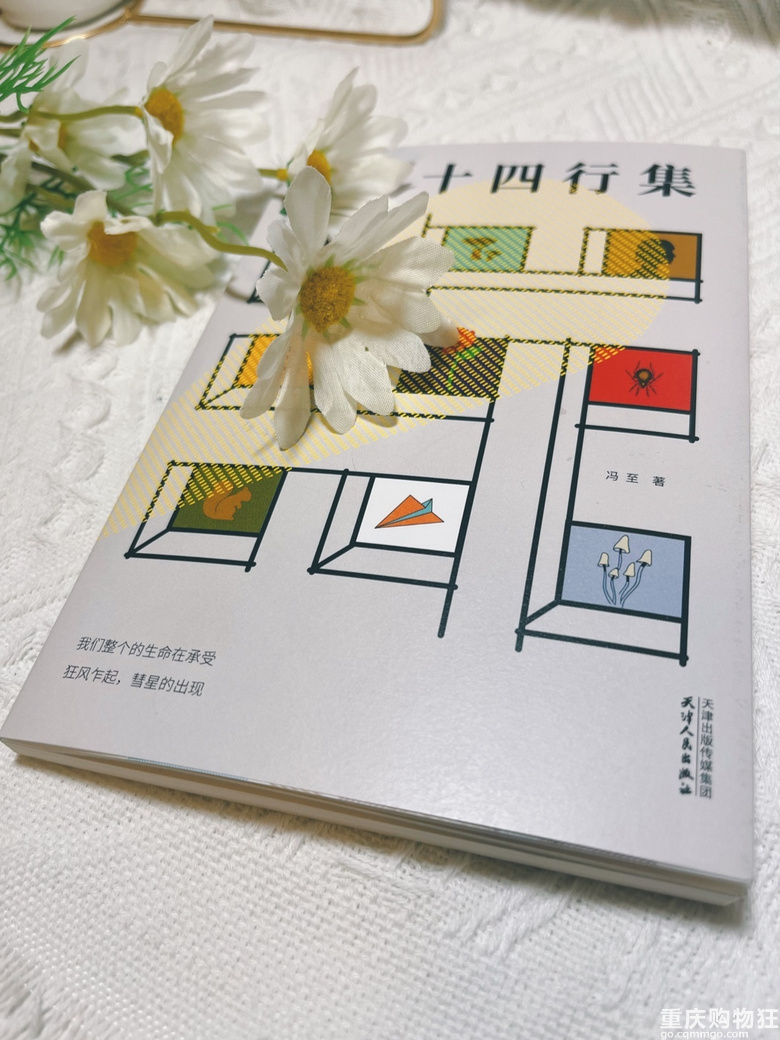 十四行集-从每一处平凡里看见一个大世界