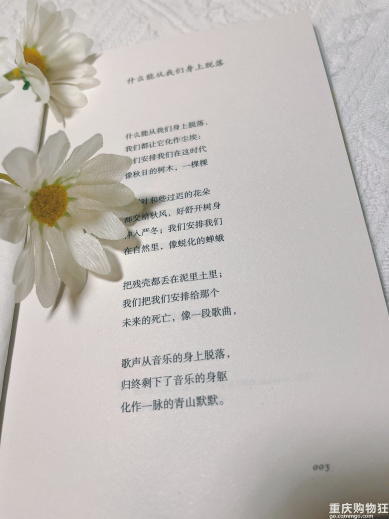 十四行集-从每一处平凡里看见一个大世界