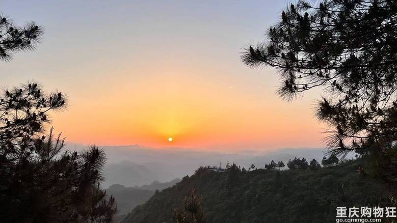 金佛山上的第五年，终于拿下了心心念念的养生避暑房