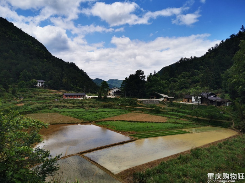 金佛山上的第五年，终于拿下了心心念念的养生避暑房