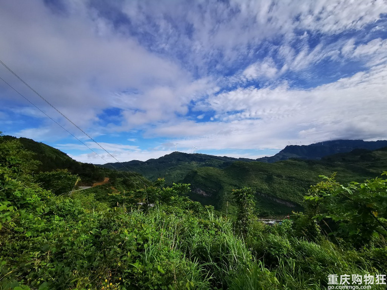 金佛山上的第五年，终于拿下了心心念念的养生避暑房