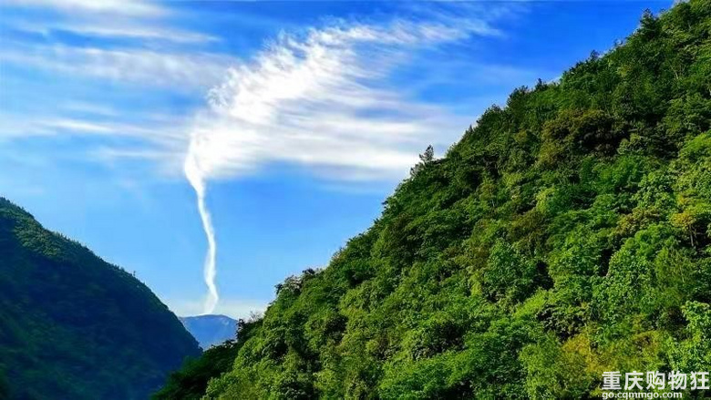 金佛山上的第五年，终于拿下了心心念念的养生避暑房