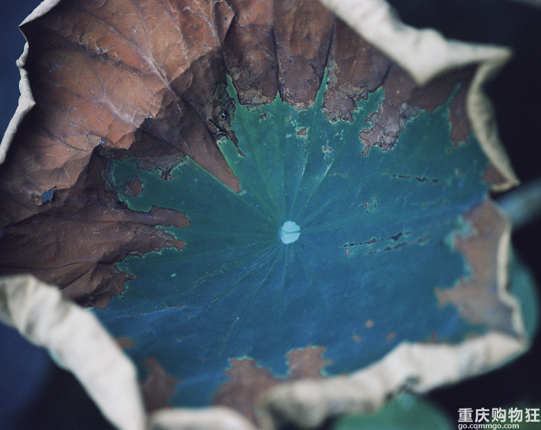 摄影师金浩森，和他的南山民宿别止
