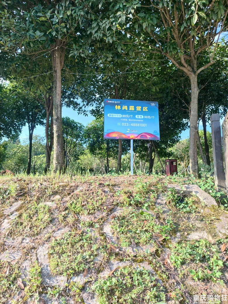 不出主城，1个多小时就能到的宝藏露营地