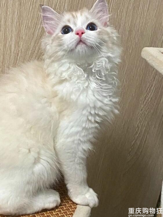 妈妈说公主不能低头，所以。。。